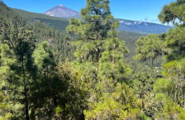 Apartamento Los Picachos, Poris de Abona - Foto 60