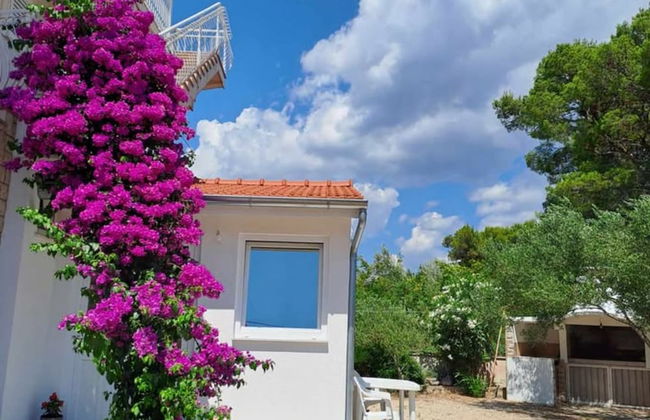 Apartments Dana - Foto 1