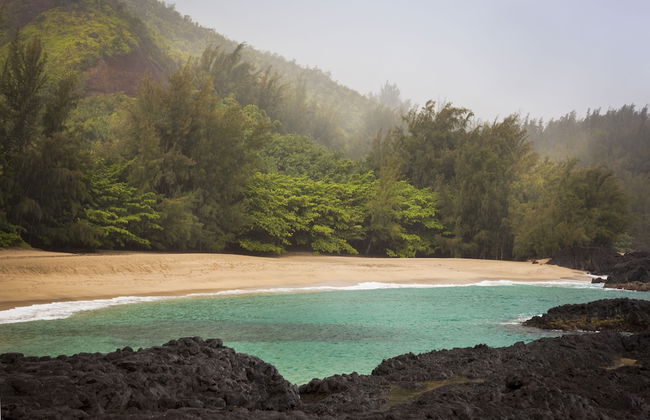 Emmalani Court 411 - Photo 32