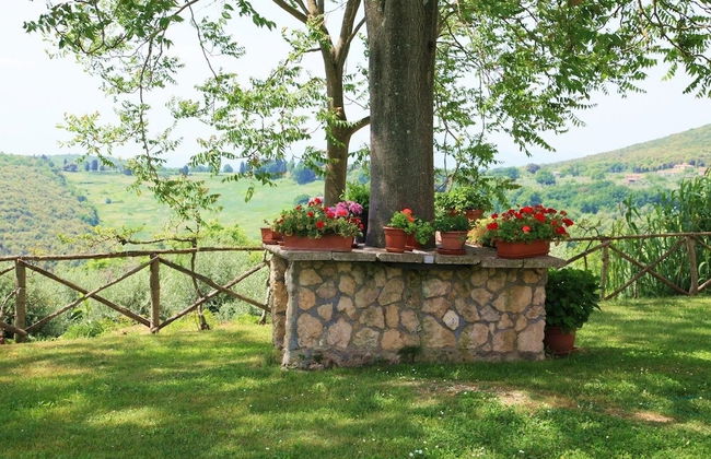 Podere Agrituristico Luchiano - Foto 31