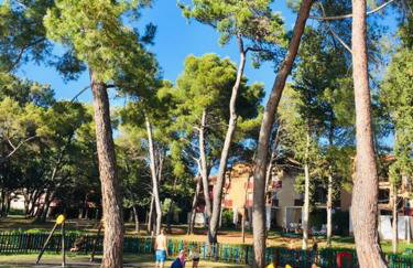 APARTMANI NIEL - Photo 66