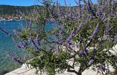 Apartments M&K - Photo 18