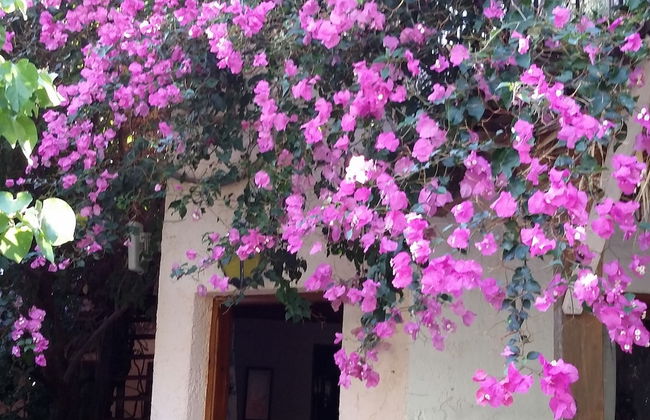 Stunning 2-bedrooms Private Cottage in Palaiochora - Foto 24