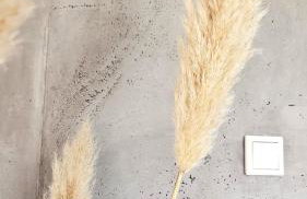 Natur-Design "Platzhirsch Sauerland" - Sauna, Kamin, Balkon, Garten, Hütte, Grill - Foto 14