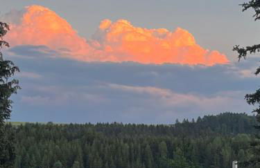 Schöne Zimmer mit gemeinsamer Nutzung von Bad, Toilette und Küche - Foto 22