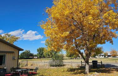Peaceful, Private and Airy on a 5 acre farm - Foto 14