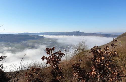Gästehaus Steuer - Foto 20
