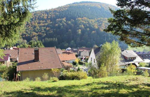 Haus Panoramablick - Foto 27