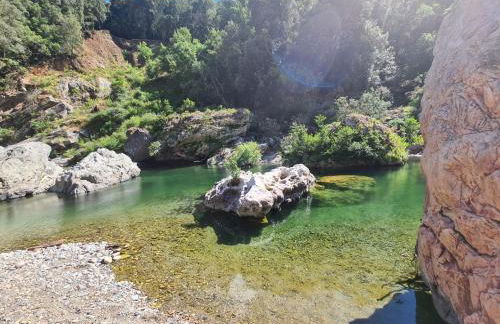 La Pergola - Foto 54