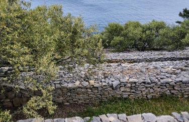 House on Punta - Photo 9