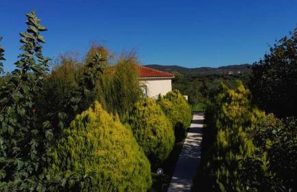 Katerina house - Foto 77