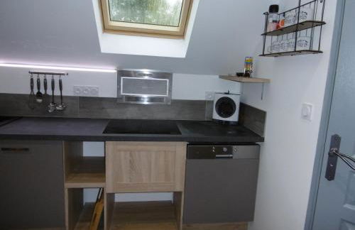 Le petit domaine des Aubuis - Foto 11