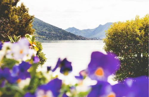 Appartamenti Vistaqua - Foto 42