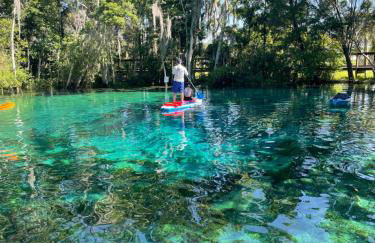 Chazzdoorway 2rooms 1 bathroom Duplex - Foto 16