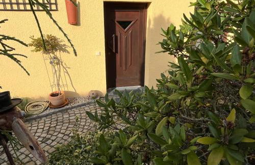 Ferienoase in der Bierstadt Radeberg bei Dresden - Foto 15