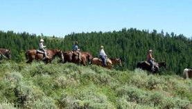 Rustic, Cozy Log Cabin Rental near Idaho Falls - Foto 4