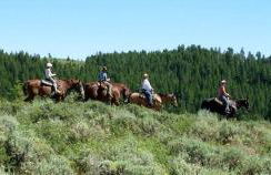 Rustic, Cozy Log Cabin Rental near Idaho Falls - Foto 4