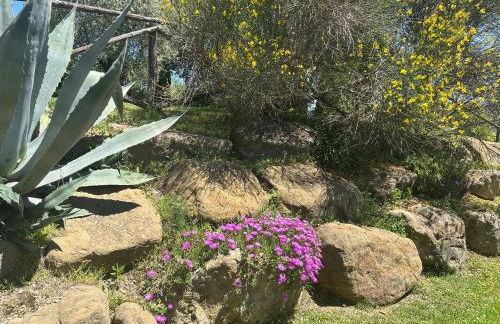 Villa Diletta - Foto 21