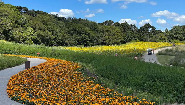 Sao Francisco de Paula Day Trip - Foto 3