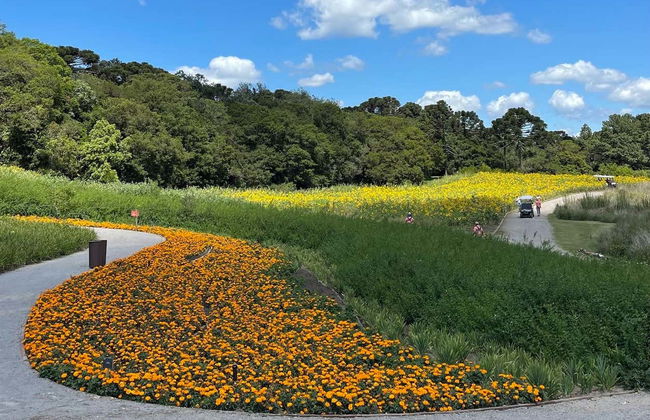 Sao Francisco de Paula Day Trip - Photo 3