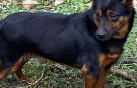 Residence Ai Laghi - Foto 15