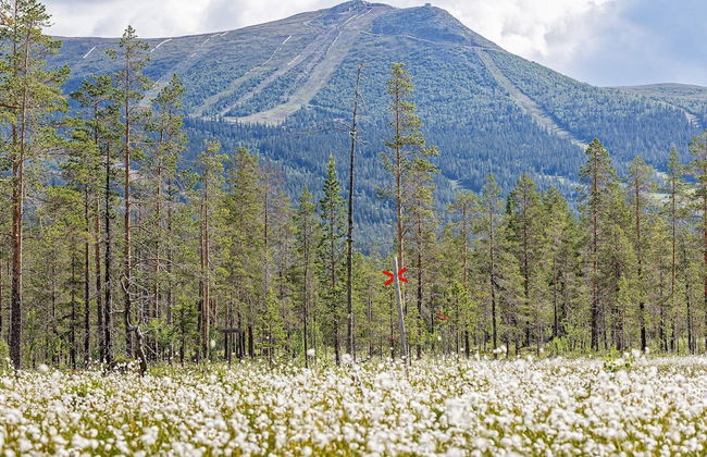 8 Person Holiday Home in Lofsdalen - Foto 2