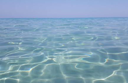 east coast house - Foto 29