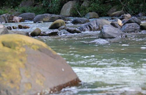 CASA PE DE PEQUI - Foto 19