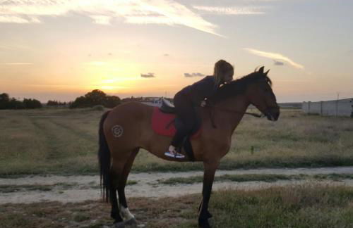 VACACIONES DE LUJO.CHALET PISCINA Y PLAYA.EL PUERTO - Foto 32