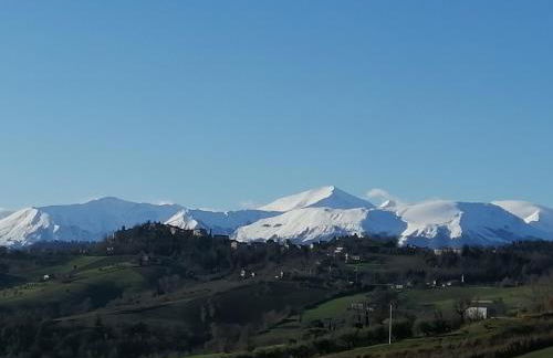 Casale San Martino Agriturismo Bio - Foto 44