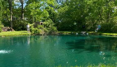 The Tiny tiki Hut - Foto 3