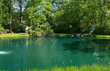 The Tiny tiki Hut - Foto 3