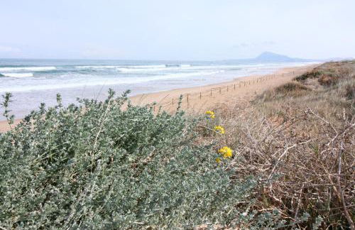 OLIVA HOLIDAYS 1 - Photo 22