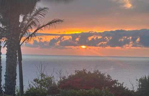 Bela Vigia - Foto 43