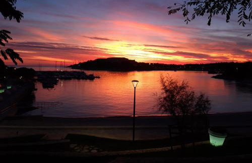 Rooms and Apartments Villa Dama - Photo 36