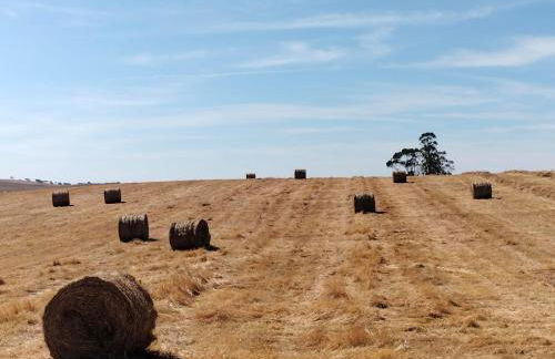 Canto da Planície - Foto 74