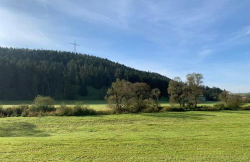 Schwarzwaldperle - Foto 32