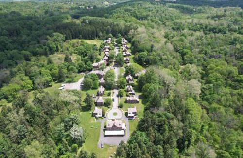 Conestoga Cottage with Hot Tub - Foto 49