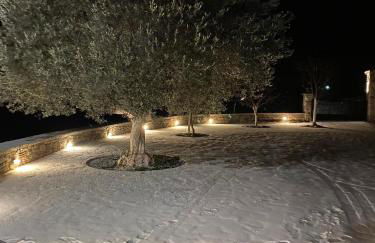 Αρχοντικό Γκιντώνη - Foto 40