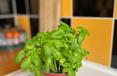 Grand studio lumineux en plein coeur de Versailles - Foto 8