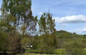 Schönes Ferienhaus unterhalb der Wasserkuppe Hilders - Foto 3