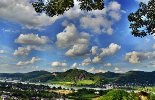 Ferienwohnung in Rheinnähe - Foto 18