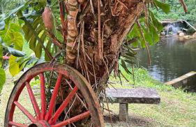 Chalé da Cachoeira - Cachoeira particular dentro da hospedagem - Foto 74