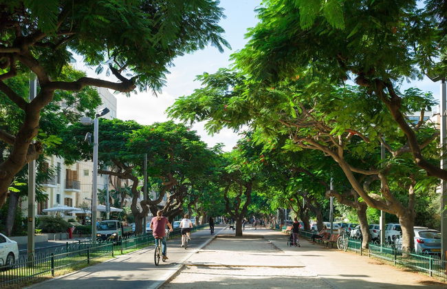 CTLV - Sheinkin 30 - Foto 55