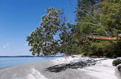 Incredible Sunset at Beachfront Glamping Cabin on Private, Herron Island with Fire Pit and Kayaking near Olympia, Washington - Foto 14