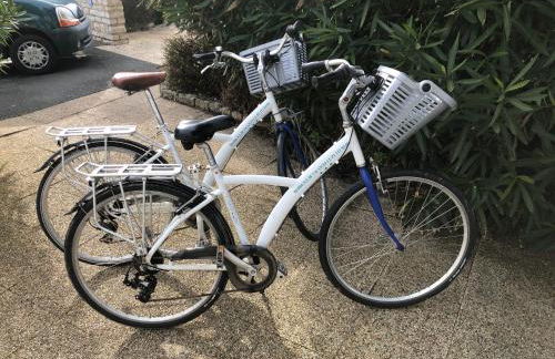 Le Petit Bois - Foto 10