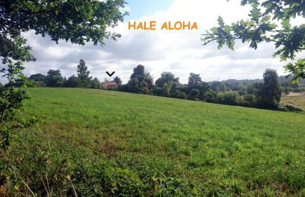 Hale Aloha - Foto 53