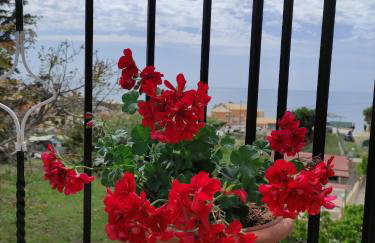 House Theofilos - Foto 8