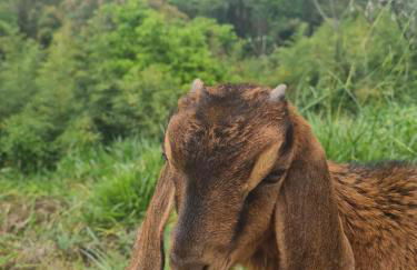 Escarpas do lago Mirante AP - Foto 80