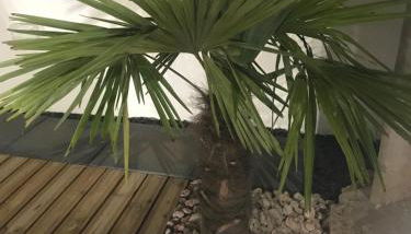 Maison Loubiere - Foto 2